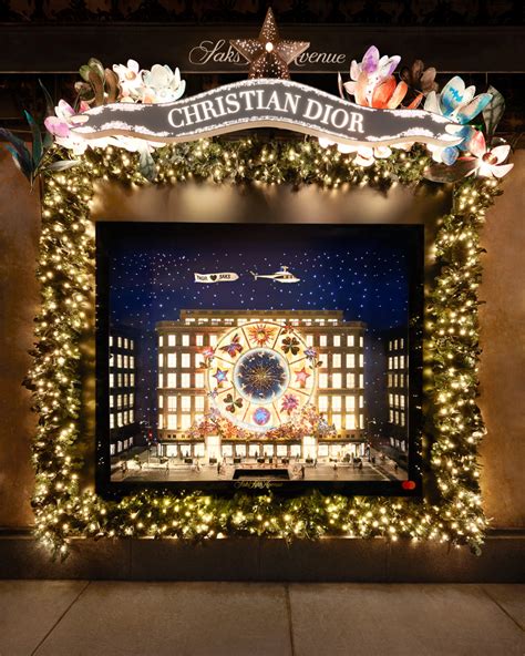 dior dresses in shop window display|christian Dior carousel of dreams.